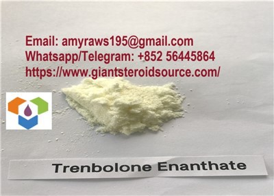 Trenbolone Enanthate CAS 472-61-5