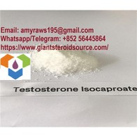 Testosterone Isocaproate CAS:15262-86-9
